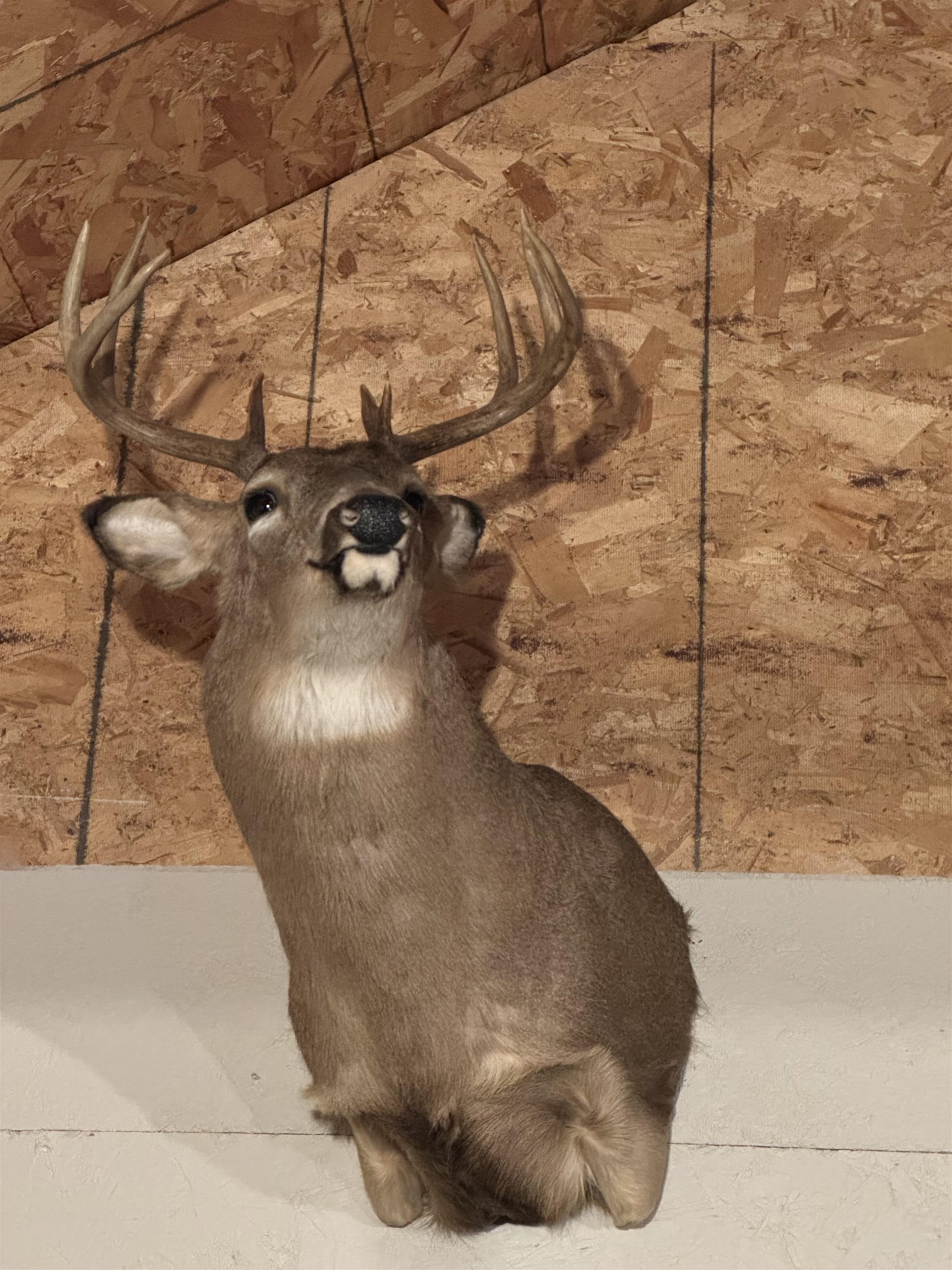 4400 North Deer Lane Mosinee, WI 54455 - Photo 59 of 79