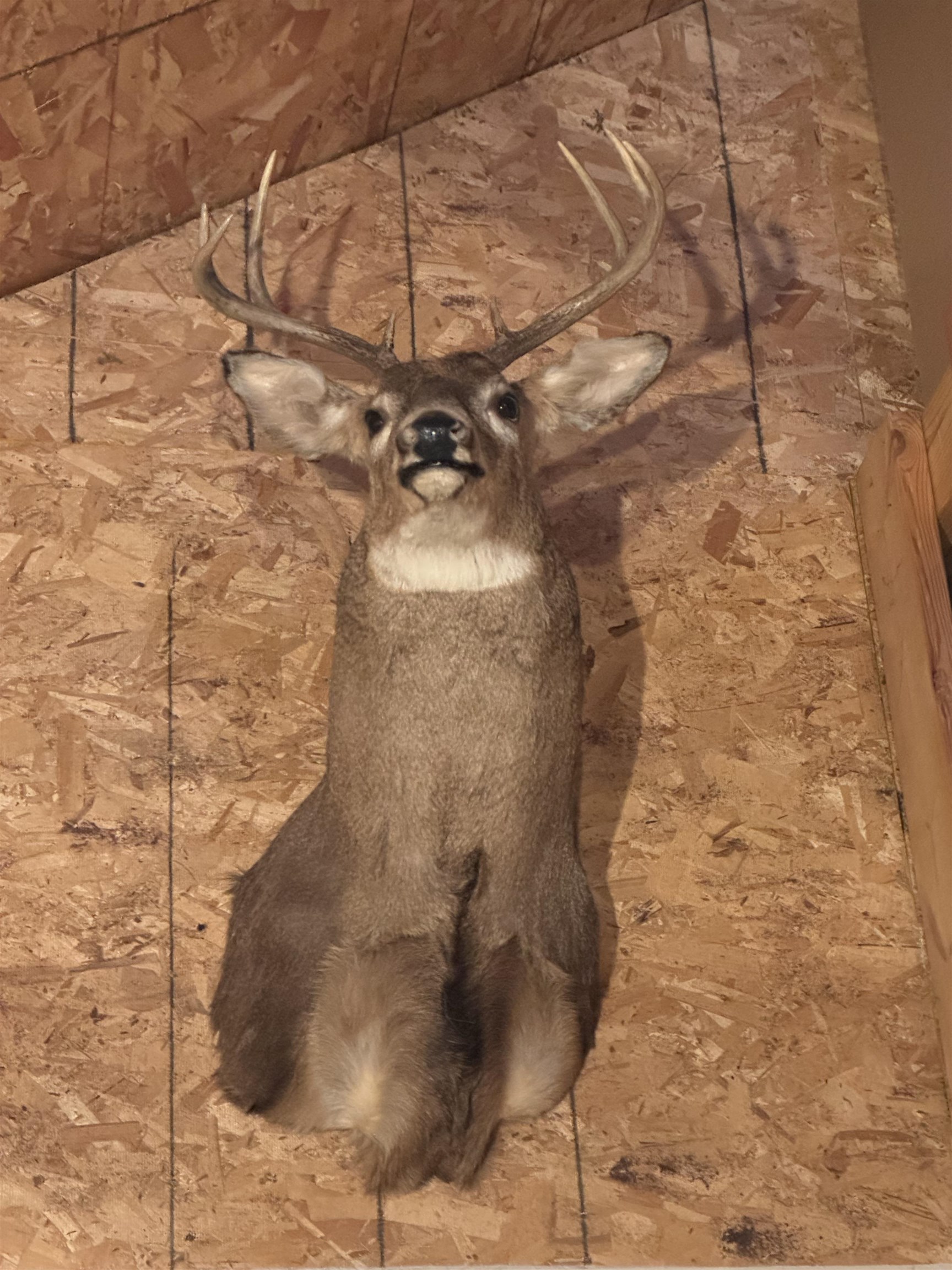 4400 North Deer Lane Mosinee, WI 54455 - Photo 60 of 79