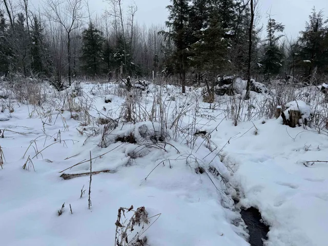 $1,250,000 | 4400 North Deer Lane, Mosinee, WI 54455