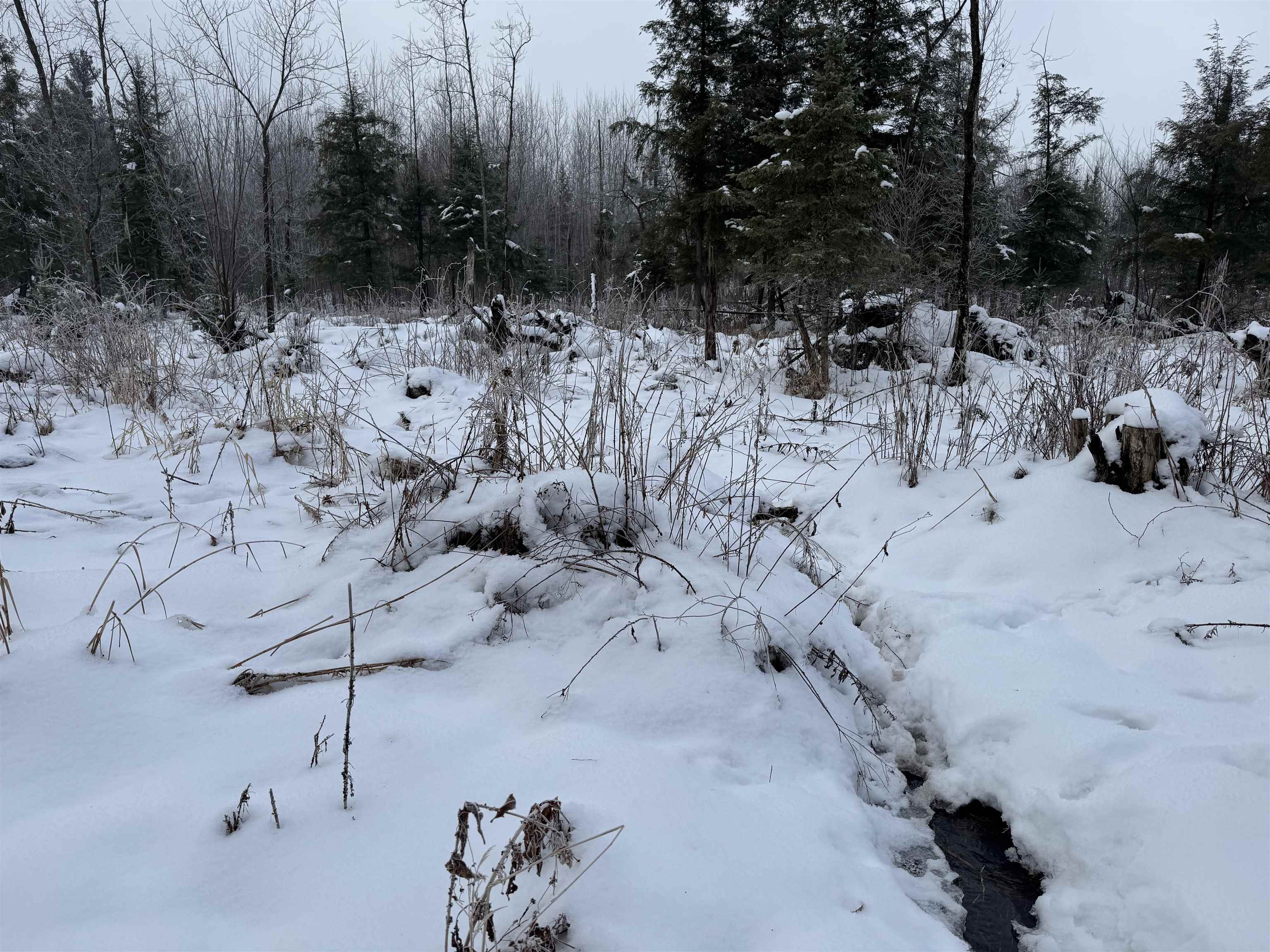 4400 North Deer Lane Mosinee, WI 54455 - Photo 6 of 79