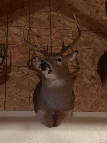 $1,250,000 | 4400 North Deer Lane, Mosinee, WI 54455