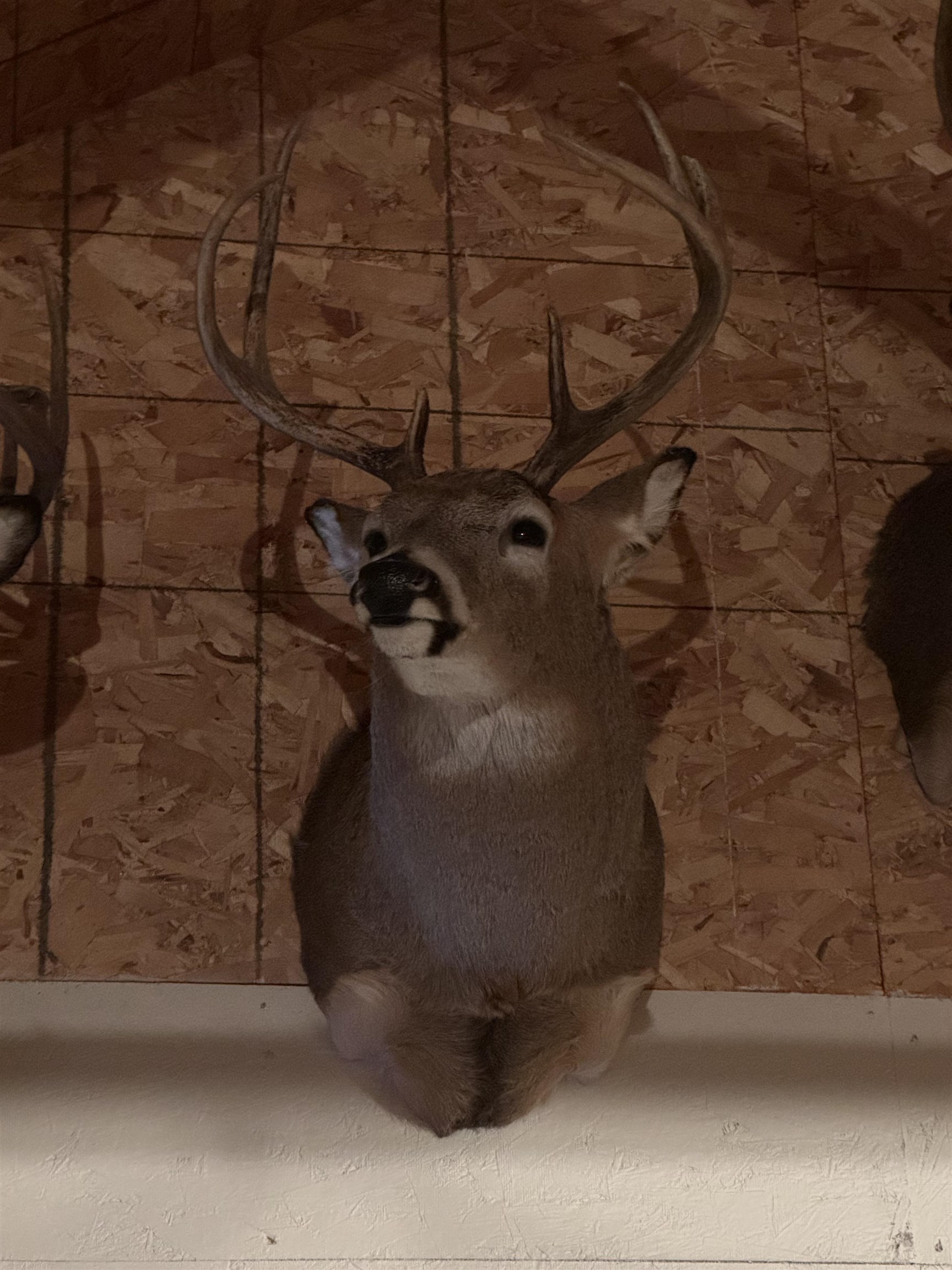 4400 North Deer Lane Mosinee, WI 54455 - Photo 61 of 79