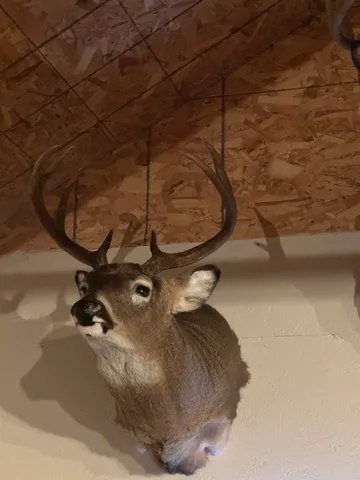 $1,250,000 | 4400 North Deer Lane, Mosinee, WI 54455