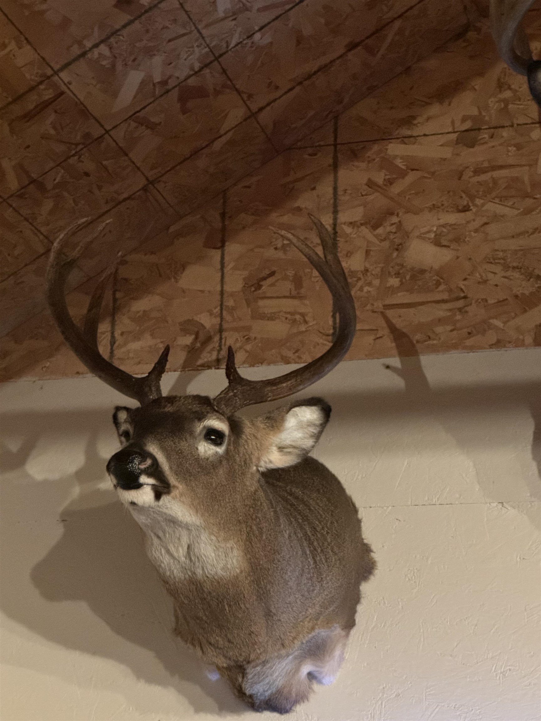 4400 North Deer Lane Mosinee, WI 54455 - Photo 63 of 79