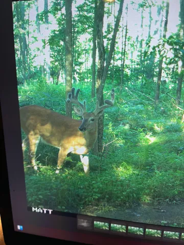 $1,250,000 | 4400 North Deer Lane, Mosinee, WI 54455