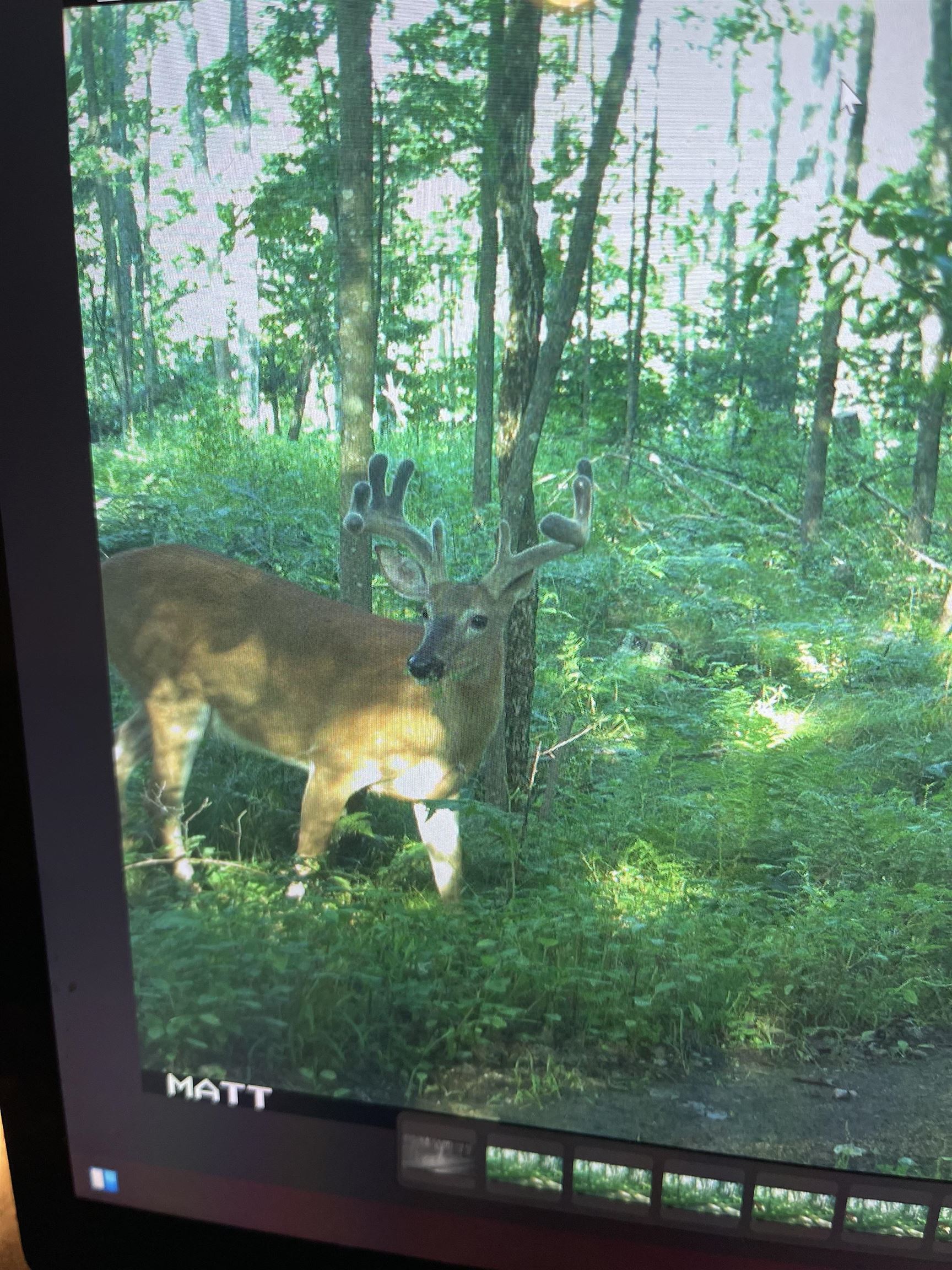 4400 North Deer Lane Mosinee, WI 54455 - Photo 64 of 79