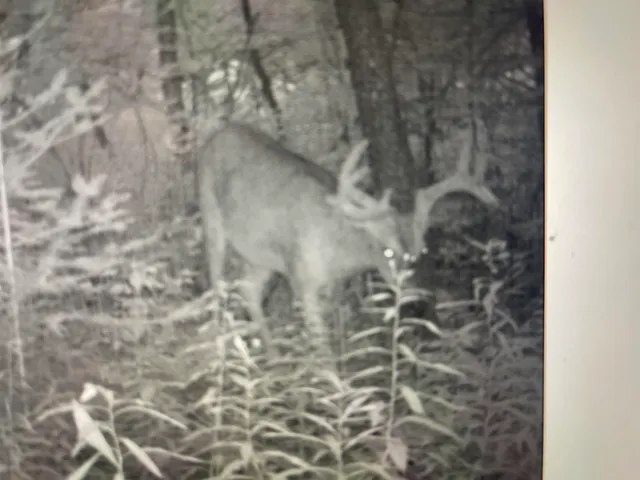 $1,250,000 | 4400 North Deer Lane, Mosinee, WI 54455