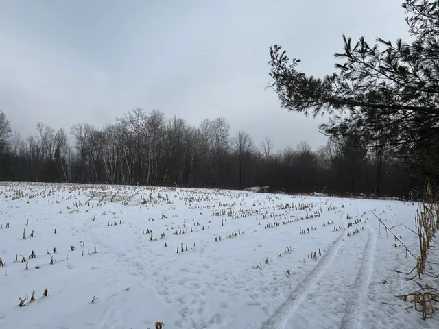 $1,250,000 | 4400 North Deer Lane, Mosinee, WI 54455