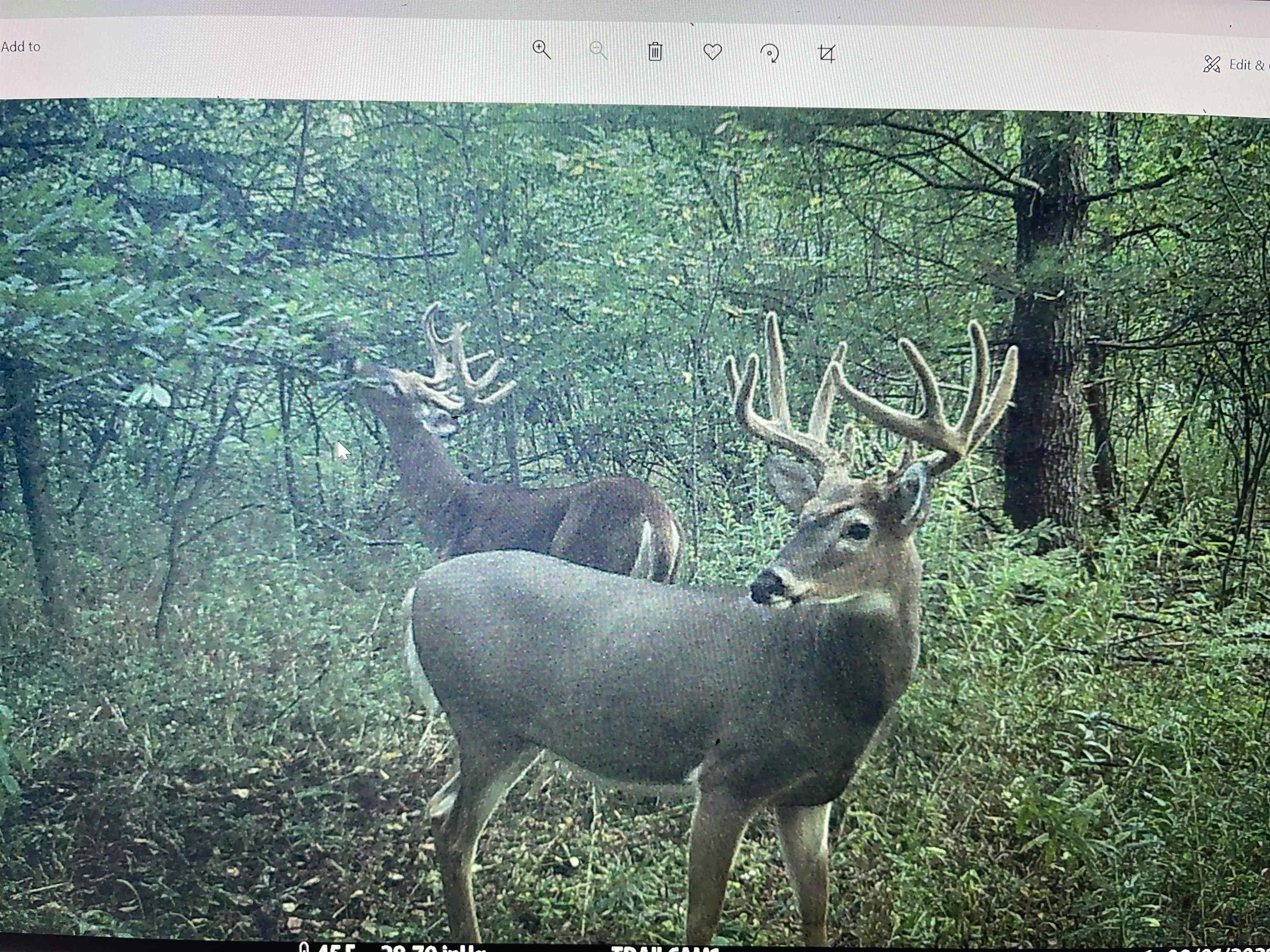 4400 North Deer Lane Mosinee, WI 54455 - Photo 10 of 79