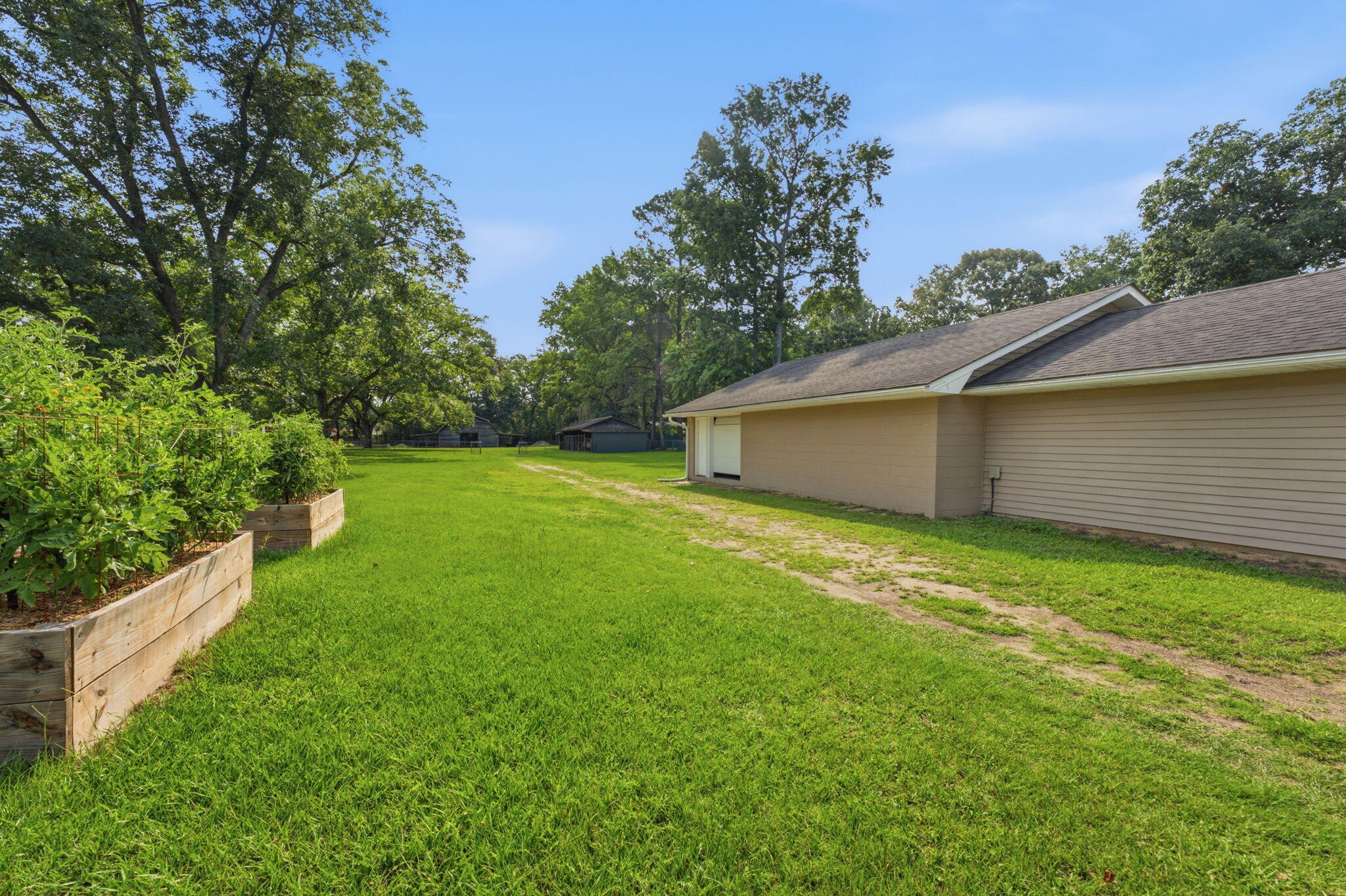 2045 Cains Mill Road Sumter, SC 29154 - Photo 74 of 83 View towards rear of the property in between workshop and garden area
