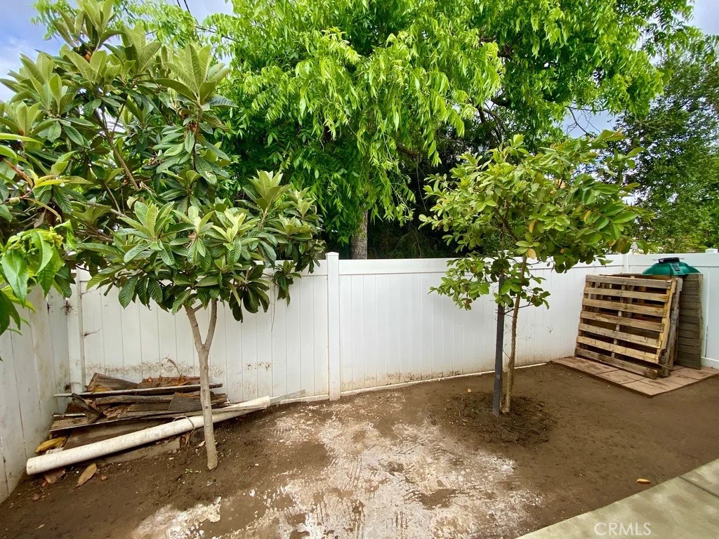 757 North Stage Coach Lane Fallbrook, CA 92028 - Photo 13 of 59 Guava Fruit Trees