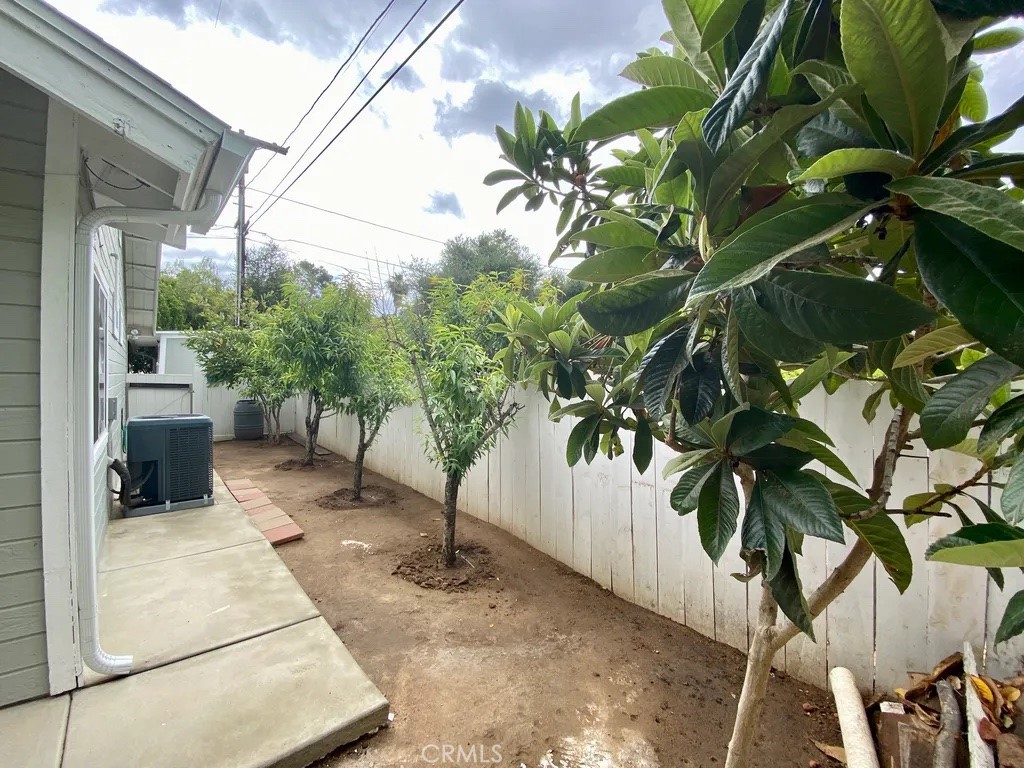 757 North Stage Coach Lane Fallbrook, CA 92028 - Photo 14 of 59 Loquat Fruit Tree