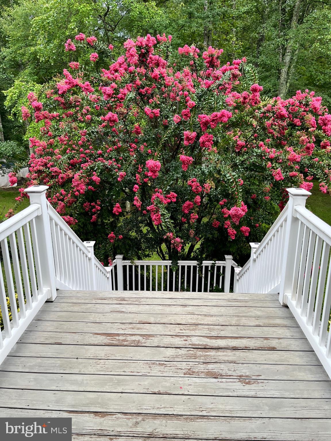 10409 Lees Mill Road Warrenton, VA 20186 - Photo 42 of 57 FLOWERS OUT BACK