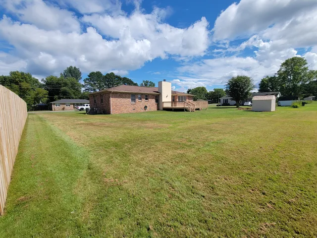 a view of a big yard with potted plants and a large tree