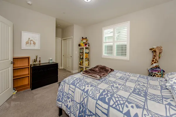 a bedroom with a bed and a closet