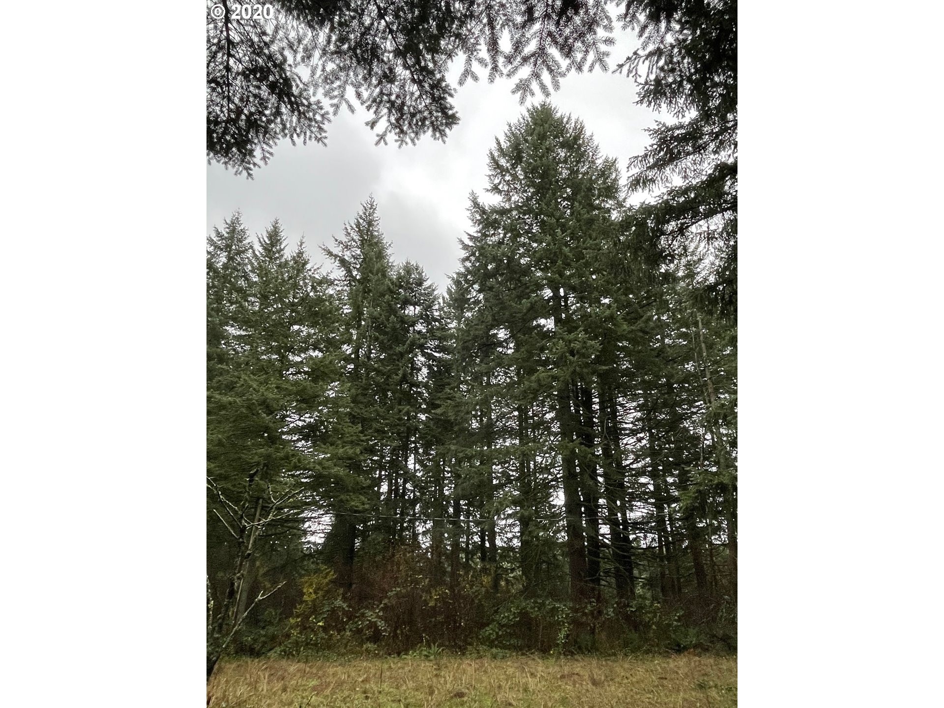 25454 South Beeson Road Beavercreek, OR 97004 - Photo 14 of 17 Gallery Image 14