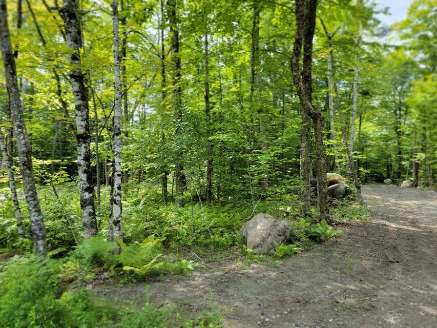 1 Railroad Bed Rd Lake View Milo, ME 04463 - Photo 13 of 27 driveway2