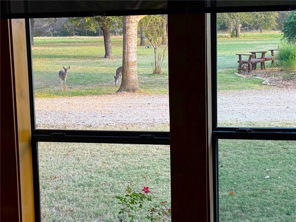 10794 Farm To Market 2159 Calvert, TX 77837 - Photo 19 of 46 View from font of home
