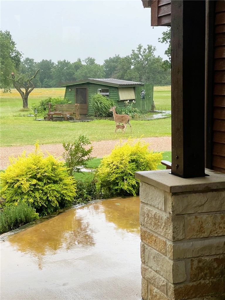 10794 Farm To Market 2159 Calvert, TX 77837 - Photo 20 of 46 View from front of home