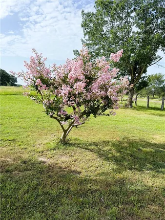 $1,250,000 | 10794 Farm To Market 2159, Calvert, TX 77837