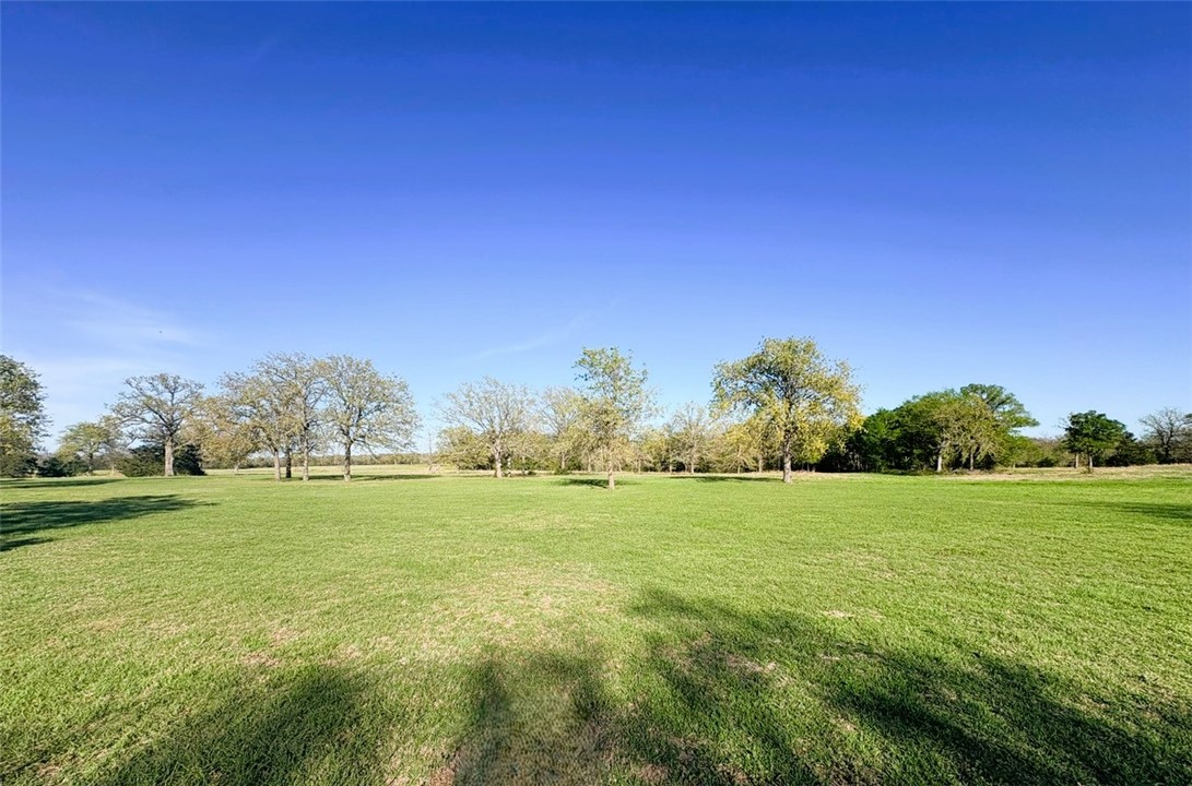 10794 Farm To Market 2159 Calvert, TX 77837 - Photo 40 of 46 View of pasture