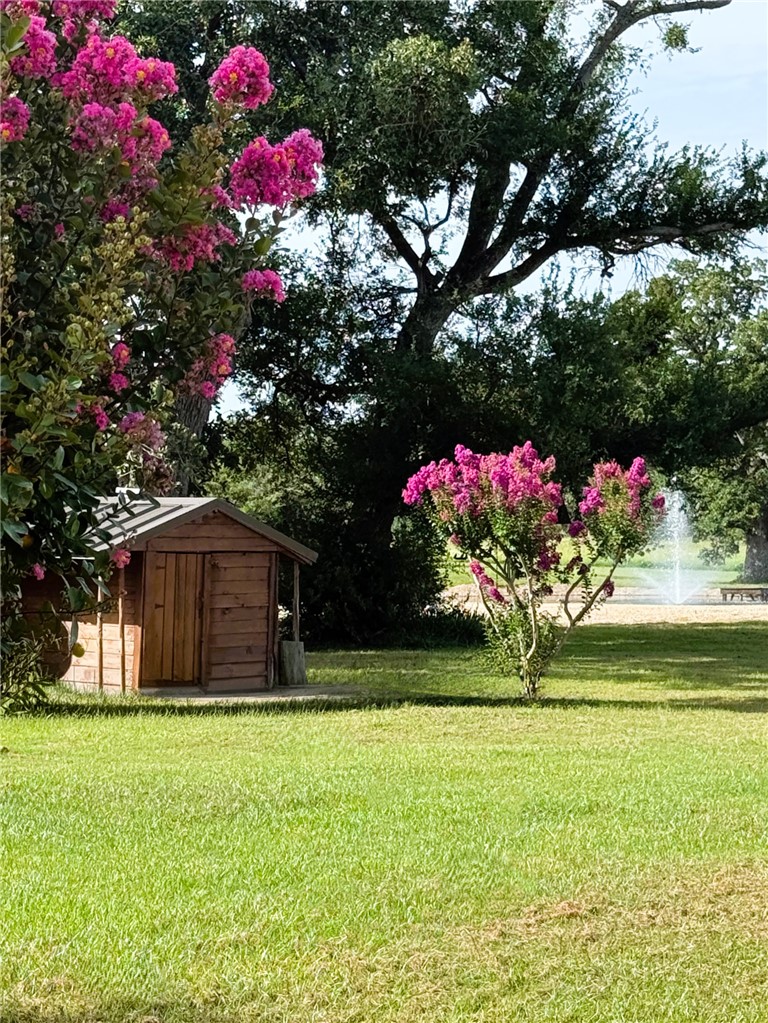 10794 Farm To Market 2159 Calvert, TX 77837 - Photo 41 of 46 Outbuilding with crepe myrtles