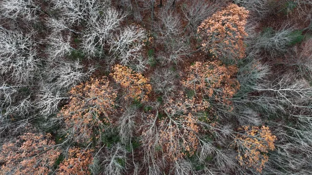 $125,000 | 603 Shepard Hill Road, Union, ME 04862