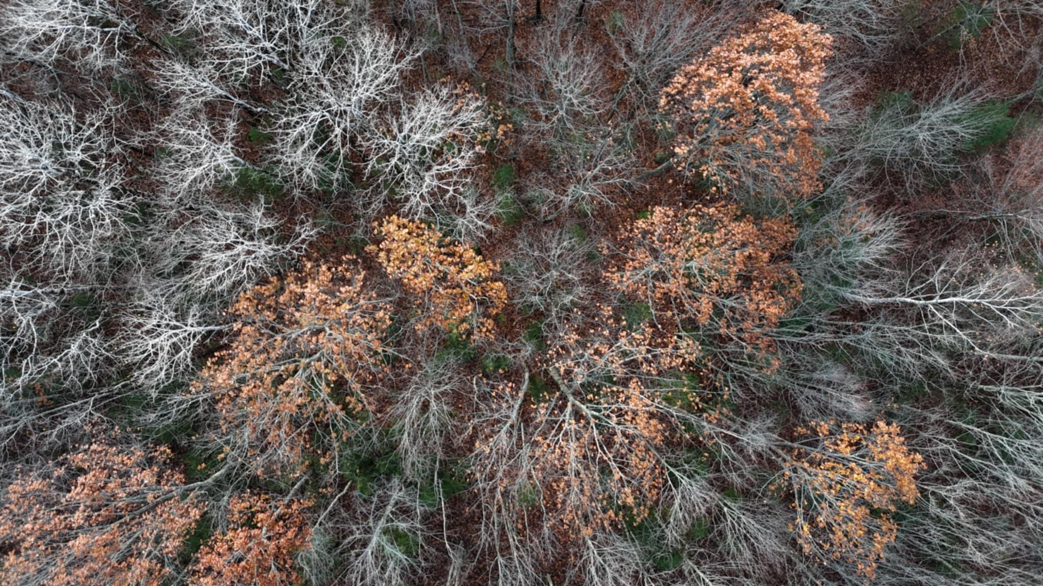 603 Shepard Hill Road Union, ME 04862 - Photo 2 of 26 Unknown-8