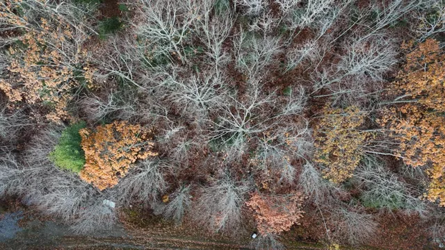 $125,000 | 603 Shepard Hill Road, Union, ME 04862