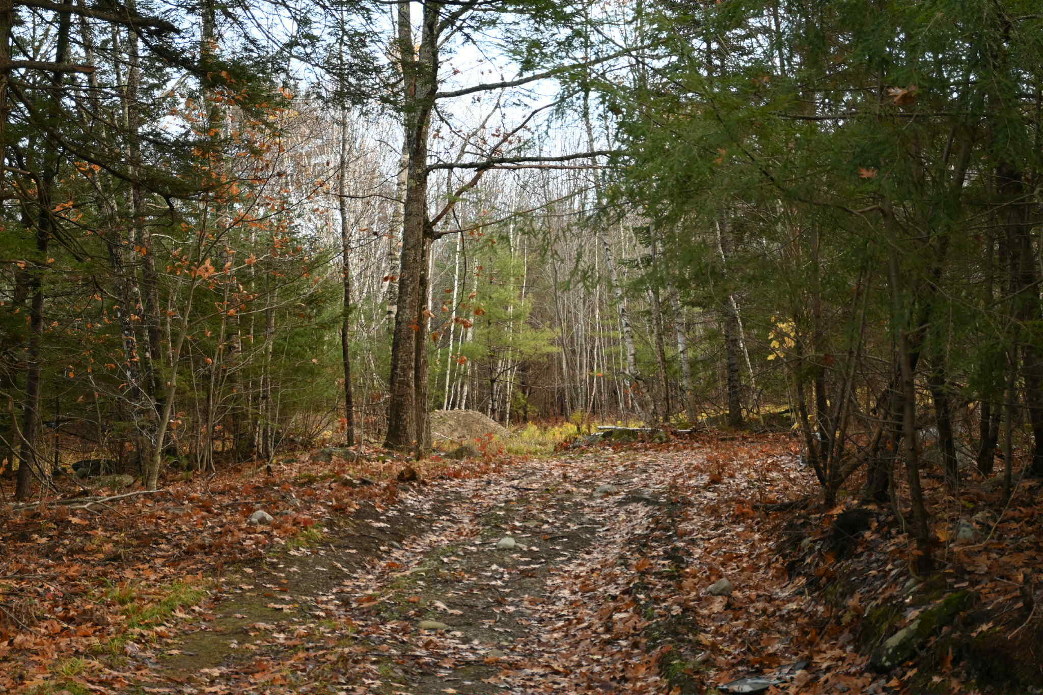 603 Shepard Hill Road Union, ME 04862 - Photo 4 of 26 Unknown-49