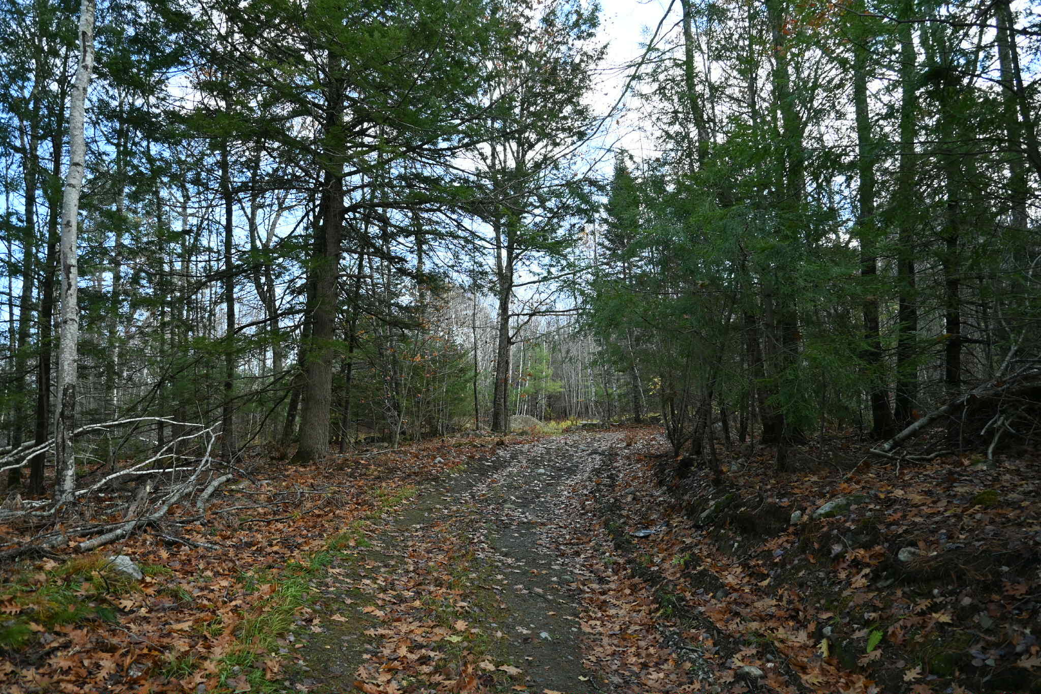 603 Shepard Hill Road Union, ME 04862 - Photo 5 of 26 Unknown-48