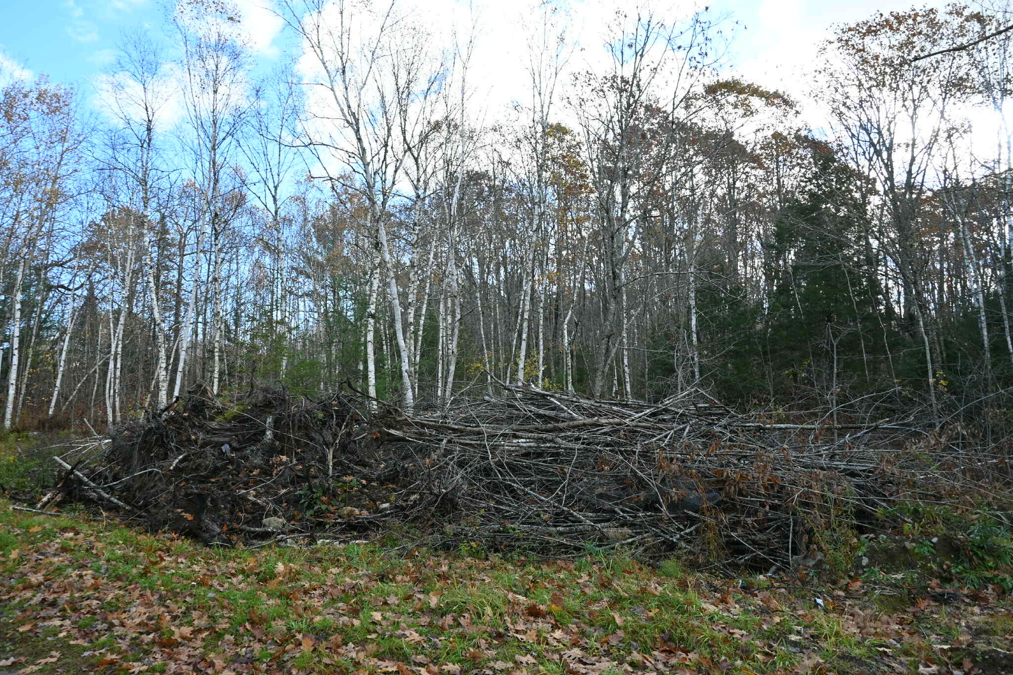603 Shepard Hill Road Union, ME 04862 - Photo 7 of 26 Unknown-45