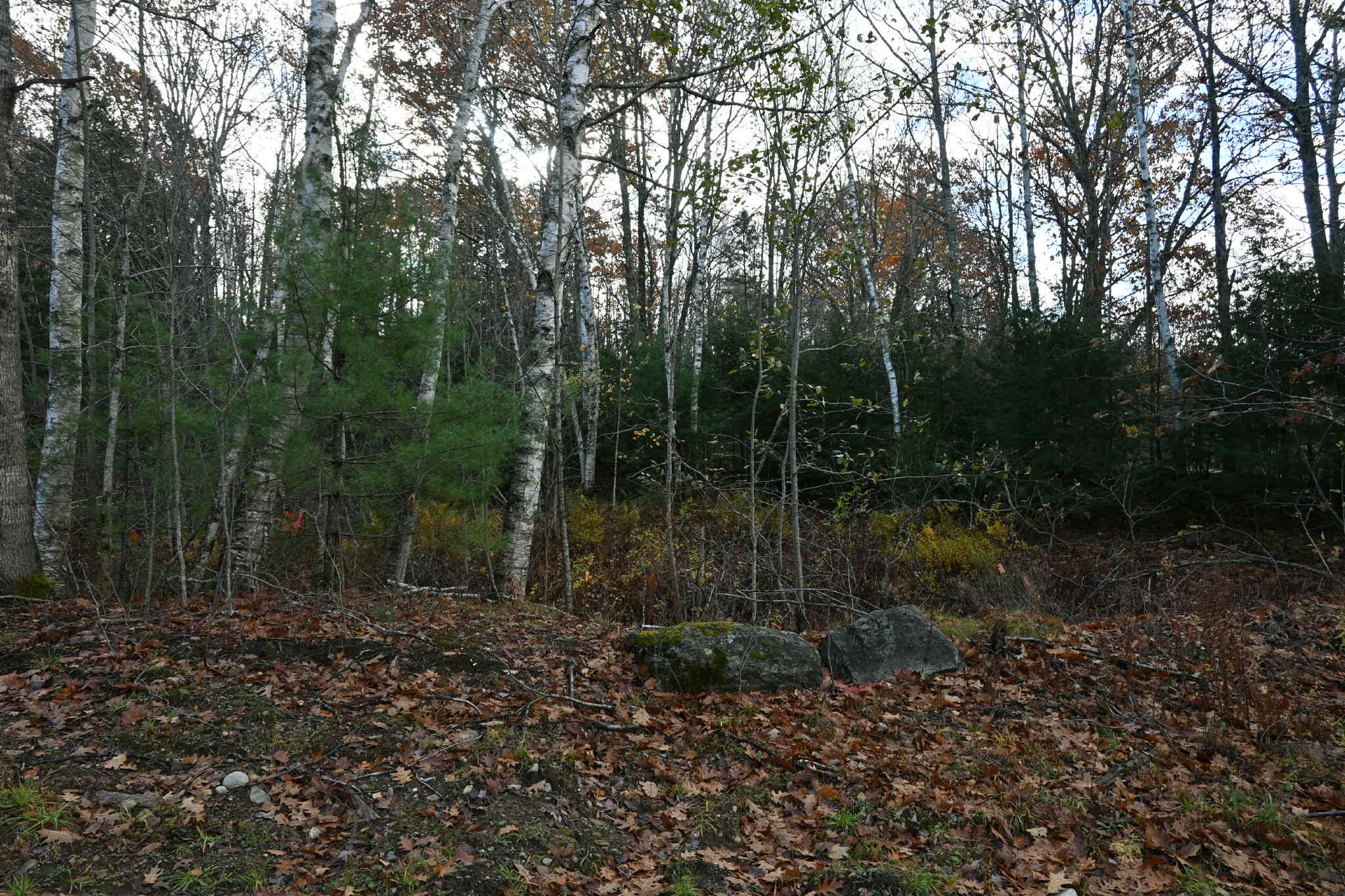 603 Shepard Hill Road Union, ME 04862 - Photo 8 of 26 Unknown-44