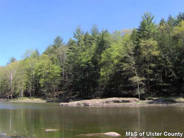 -- Stillwater Road, Unit 800 Stone Ridge, NY 12484 - Photo 2 of 4 a view of lot of trees