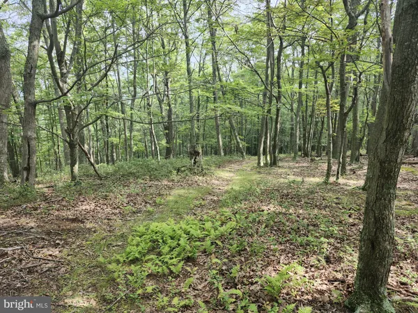 $579,900 | 6836 Highway 55, Moorefield, WV 26836