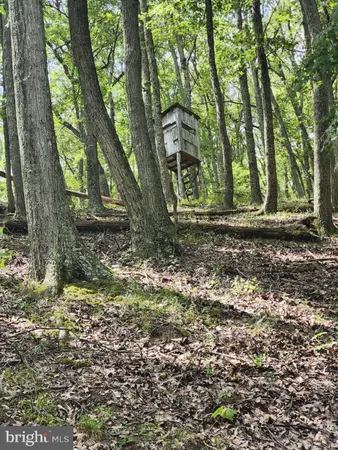 $579,900 | 6836 Highway 55, Moorefield, WV 26836