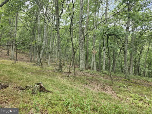 $579,900 | 6836 Highway 55, Moorefield, WV 26836