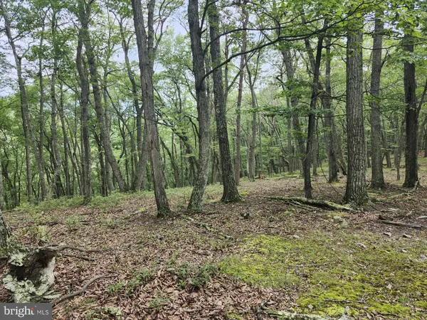 $579,900 | 6836 Highway 55, Moorefield, WV 26836