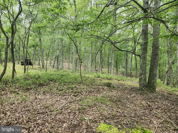 $579,900 | 6836 Highway 55, Moorefield, WV 26836