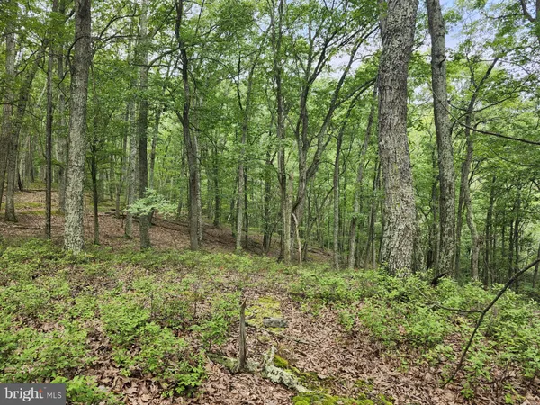 $579,900 | 6836 Highway 55, Moorefield, WV 26836