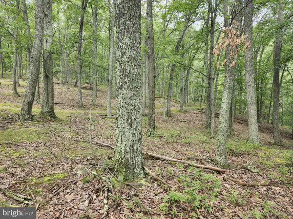 $579,900 | 6836 Highway 55, Moorefield, WV 26836