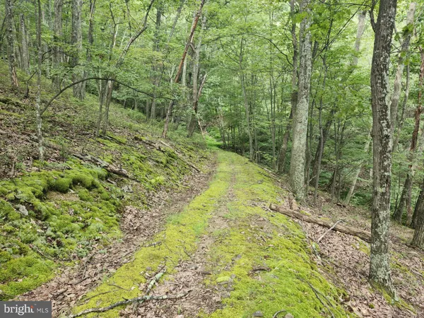 $579,900 | 6836 Highway 55, Moorefield, WV 26836