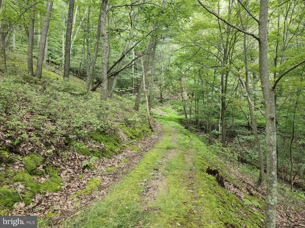 $579,900 | 6836 Highway 55, Moorefield, WV 26836