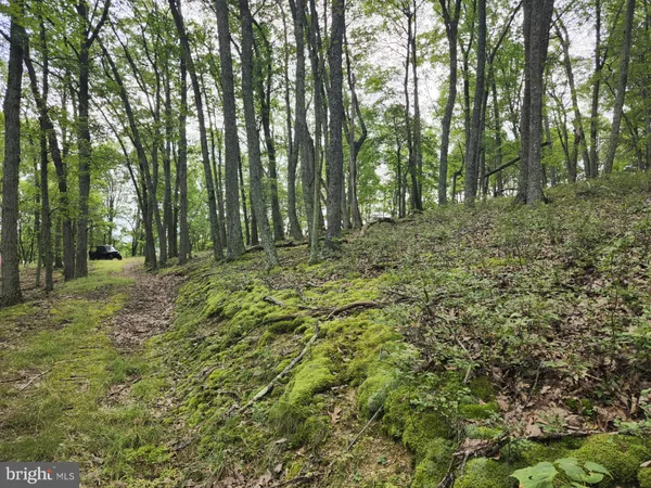 $579,900 | 6836 Highway 55, Moorefield, WV 26836