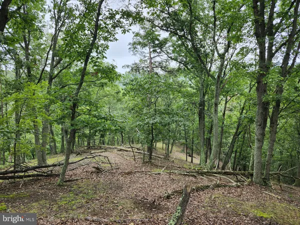 $579,900 | 6836 Highway 55, Moorefield, WV 26836