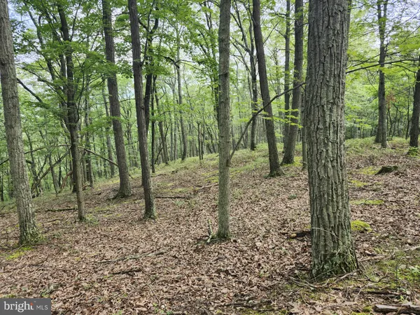 $579,900 | 6836 Highway 55, Moorefield, WV 26836