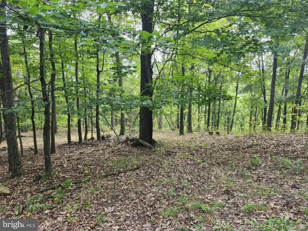 $579,900 | 6836 Highway 55, Moorefield, WV 26836