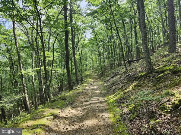 $579,900 | 6836 Highway 55, Moorefield, WV 26836