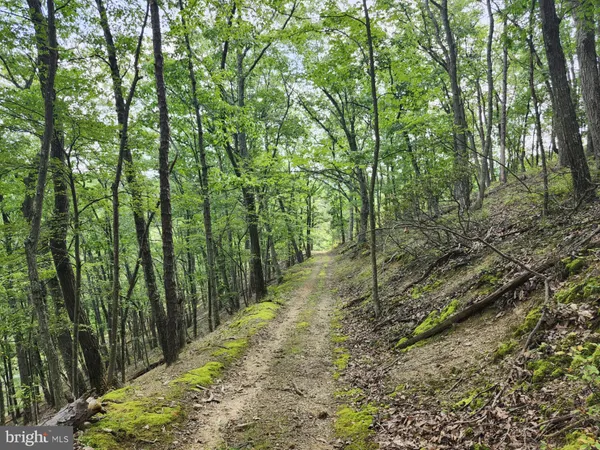 $579,900 | 6836 Highway 55, Moorefield, WV 26836