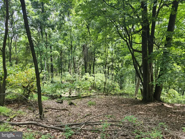 $579,900 | 6836 Highway 55, Moorefield, WV 26836